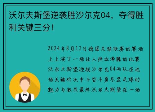 沃尔夫斯堡逆袭胜沙尔克04，夺得胜利关键三分！