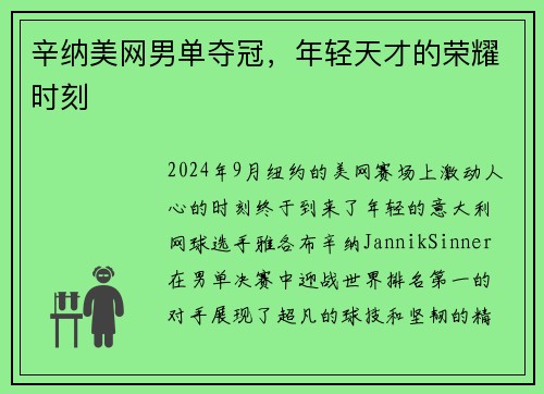 辛纳美网男单夺冠，年轻天才的荣耀时刻