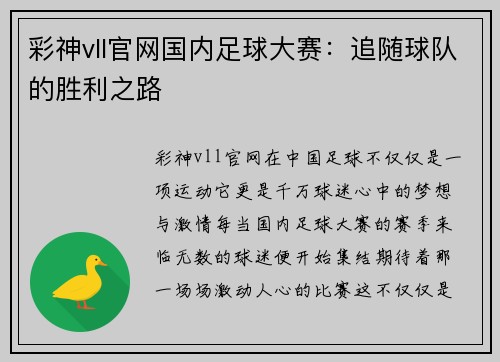 彩神vll官网国内足球大赛：追随球队的胜利之路